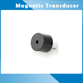 Magnetic Transducer HCM12A
